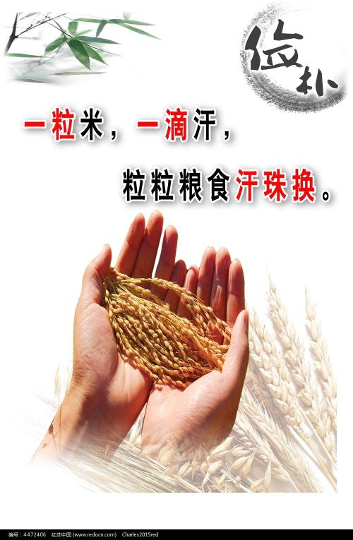 河北科技大学学位证样本